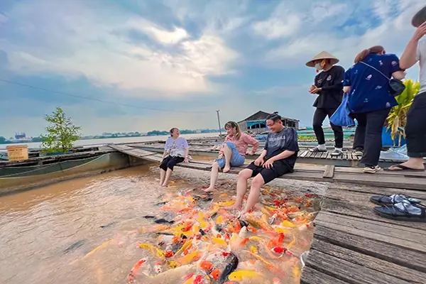 Tour Cồn Sơn Cần Thơ Giá Rẻ Kinh Nghiệm Du Lịch 2026 - Tour ...