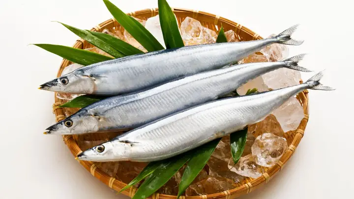 Cá Thu Đao Là Cá Gì? Cá Thu Đao Nấu Món Gì Ngon? Cá Thu Đao Là Cá Gì? Cá Thu Đao Nấu Món Gì Ngon?