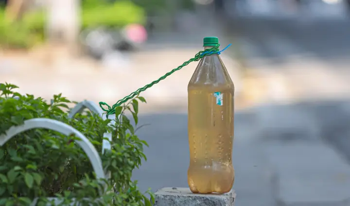 Hà Nội Yêu Cầu Dẹp
