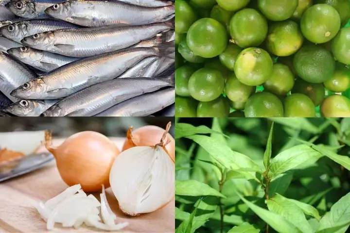 Chuẩn Bị Nguyên Liệu Làm Gỏi Cá Trích Kiểu Phú Quốc Chuẩn Bị Nguyên Liệu Làm Gỏi Cá Trích Kiểu Phú Quốc