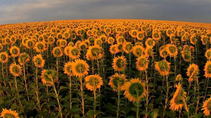 Cao Nguyên Sannokura, Tỉnh Fukushima, Nhật Bản Cao Nguyên Sannokura, Tỉnh Fukushima, Nhật Bản