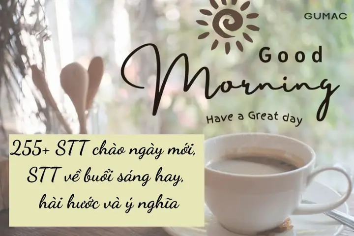 255+ Stt Chào Ngày Mới, Stt Về Buổi Sáng Hay, Hài Hước Và Ý Nghĩa