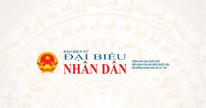 Chang Chang Cồn Cát Quảng Bình Chang Chang Cồn Cát Quảng Bình