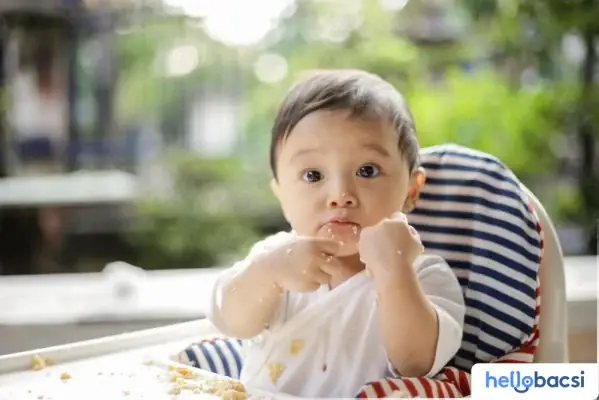 Cách Nấu Cháo Cá Cho Bé Kết Hợp Nhiều Loại Rau, Củ Cách Nấu Cháo Cá Cho Bé Kết Hợp Nhiều Loại Rau, Củ