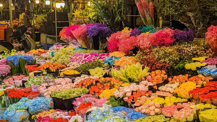 Ghé Thăm Chợ Hoa Quảng Bá - Xứ Sở Hoa Lớn Nhất Hà Nội | Xanh Sm Ghé Thăm Chợ Hoa Quảng Bá - Xứ Sở Hoa Lớn Nhất Hà Nội | Xanh Sm