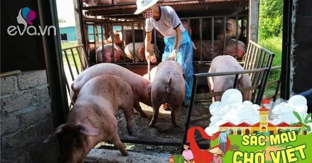 Chợ Lợn Lớn Nhất Miền Bắc Ở Hà Nam, Mở Quanh Năm Chỉ Nghỉ ...