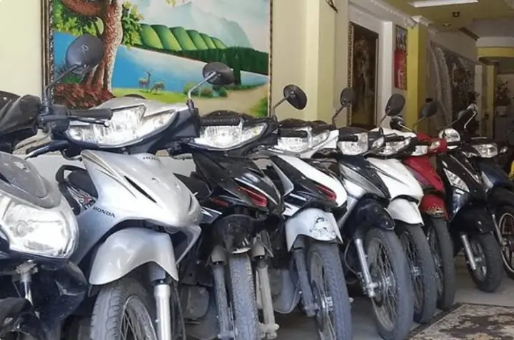 Cửa Hàng Bách Diệp Cửa Hàng Bách Diệp