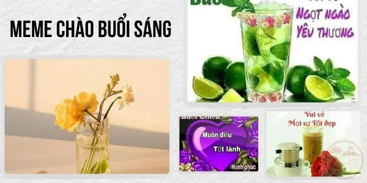 100+ Meme Chào Buổi Sáng – Good Morning Chúc Ngày Mới Tốt Lành