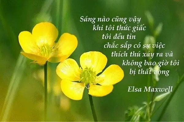 Hình Ảnh Đăng Kèm Chúc Ngày Mới Người Yêu Tham Khảo