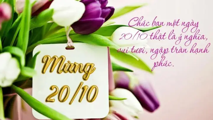 Lời Chúc 20/10 Cho Đồng Nghiệp Ấn Tượng2026