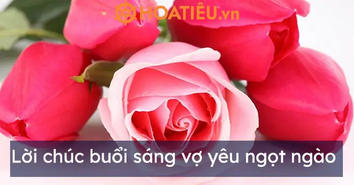 Lời Chúc Buổi Sáng Vợ Yêu Ngọt Ngào Lời Chúc Buổi Sáng Vợ Yêu Ngọt Ngào