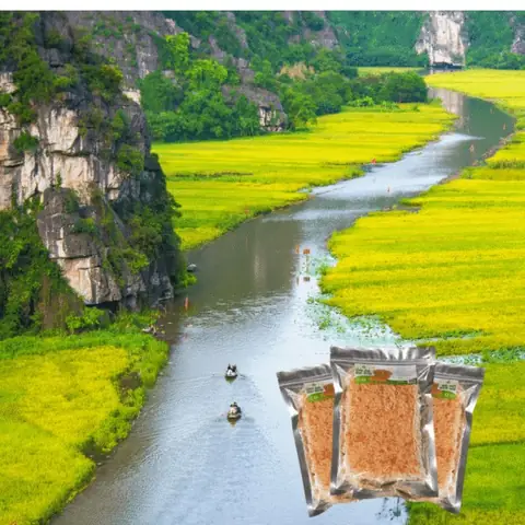 Sài Gòn – Nơi Cơm Cháy Hiện Đại Hóa Và Lan Tỏa