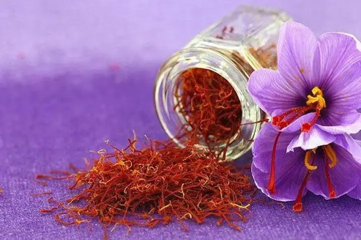 Nhụy Hoa Nghệ Tây ( Saffron ) Nhụy Hoa Nghệ Tây ( Saffron )