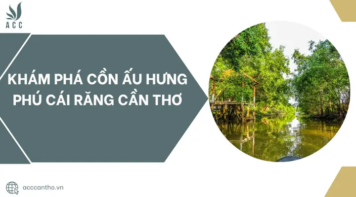 Khám Phá Cồn Ấu Hưng Phú Cái Răng Cần Thơ