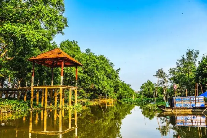 Cồn Ấu Cần Thơ – Đắm Chìm Trong Vẻ Đẹp Bình Yên, Thơ Mộng