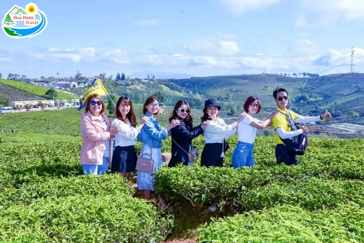 Vietravel – Chi Nhánh Đà Lạt Vietravel – Chi Nhánh Đà Lạt