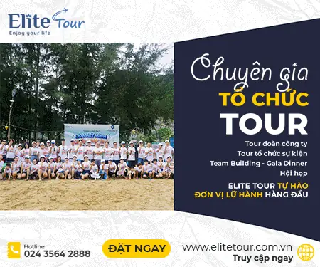 Cã´ng Ty Tnhh Elite Tour Cã´ng Ty Tnhh Elite Tour