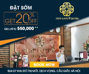 Cã´ng Ty Tnhh Tm Dv Vã Sản Xuất Tiến Dũng - New Lotus Hotel Cã´ng Ty Tnhh Tm Dv Vã Sản Xuất Tiến Dũng - New Lotus Hotel