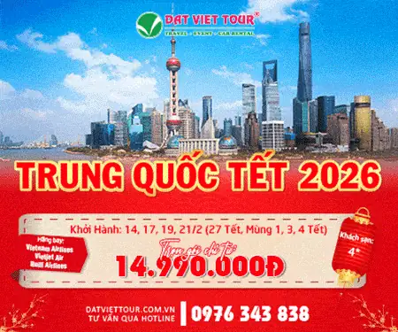 Cã´ng Ty Cp Đầu Tư Tm Dv Du Lịch Đất Việt Cã´ng Ty Cp Đầu Tư Tm Dv Du Lịch Đất Việt