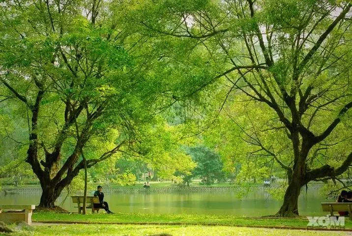 Công Viên Bách Thảo Hà Nội Công Viên Bách Thảo Hà Nội