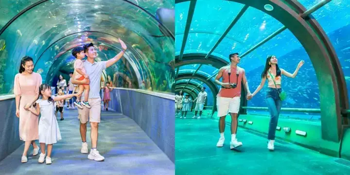 Cập Nhật Giá Vé Công Viên Nước Đại Dương Quận 7 Và Kinh Nghiệm ...
