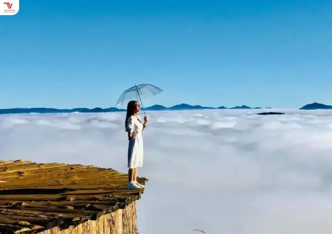 Thiên Đường Săn Mây