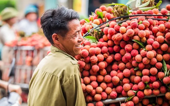 Vải Thiều Lục Ngạn Vải Thiều Lục Ngạn