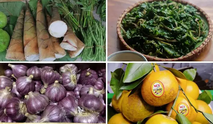 Đặc Sản Hòa Bình: Top 15 Đặc Sản Ngon Nên Thử Và Mua Làm Quà Đặc Sản Hòa Bình: Top 15 Đặc Sản Ngon Nên Thử Và Mua Làm Quà