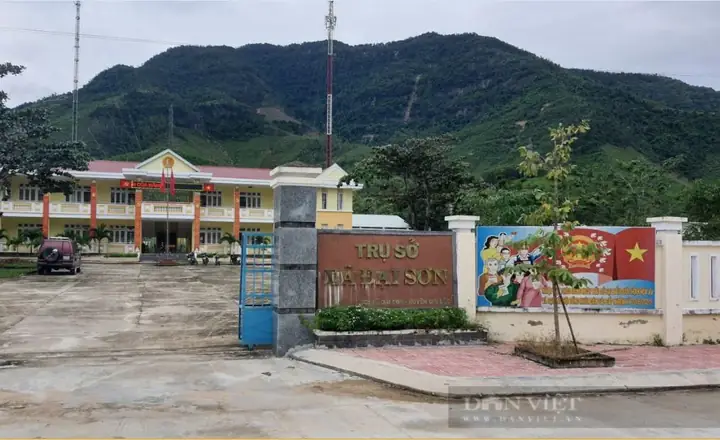 Quảng Nam: Xã Đại Sơn – Đại Lộc “thay Da Đổi Thịt” Nhờ Nông Thôn Mới - Ảnh 6.