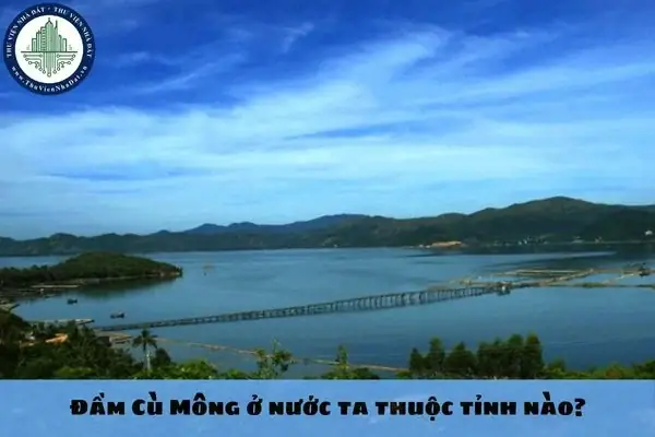 Đầm Cù Mông Ở Nước Ta Thuộc Tỉnh Nào? Đầm Cù Mông Ở Nước Ta Thuộc Tỉnh Nào?