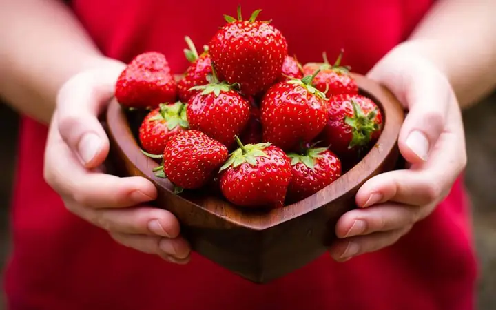 Giá Dâu Tây Đà Lạt Bao Nhiêu 1 Kg? Mua Ở Đâu? Giá Dâu Tây Đà Lạt Bao Nhiêu 1 Kg? Mua Ở Đâu?