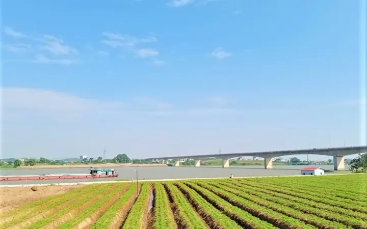 Bến Bình Than, Nơi Trần Quốc Toản Bóp Nát Quả Cam, Nay Là Miền ...
