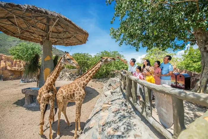 Kinh Nghiệm Du Lịch Đồi Cát Phương Mai
