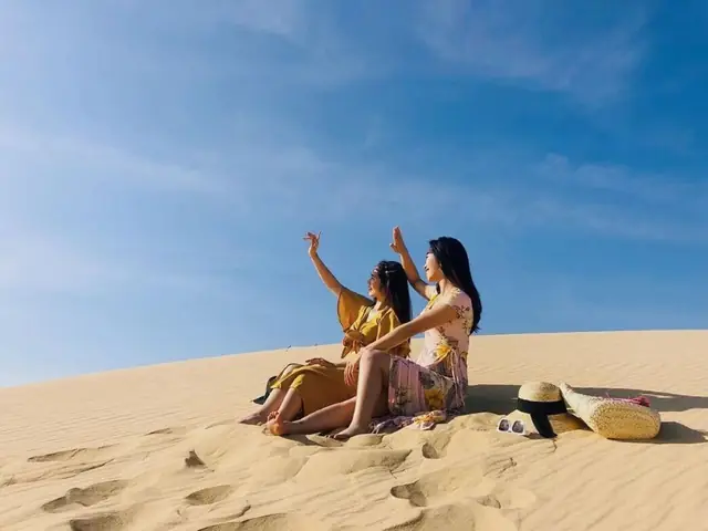 Địa Chỉ, Giá Vé & Cách Đi Đồi Cát Phương Mai Quy Nhơn