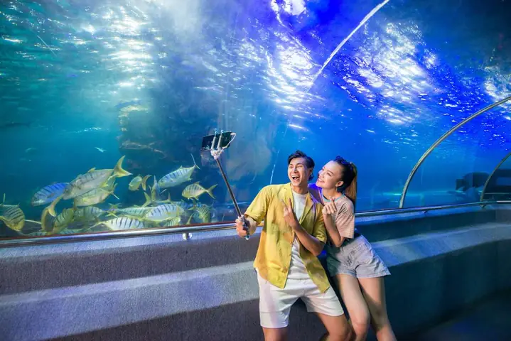 Nha Trang – Điểm Du Lịch 2 Ngày 1 Đêm Cho Cặp Đôi Sống Ảo “cực Chill” Nha Trang – Điểm Du Lịch 2 Ngày 1 Đêm Cho Cặp Đôi Sống Ảo “cực Chill”