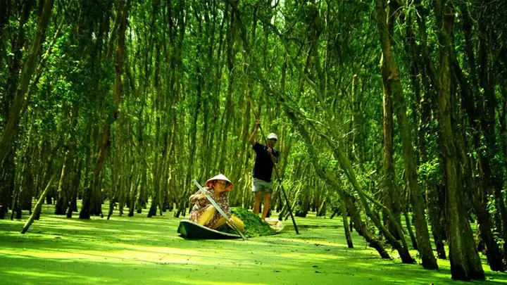 Tỉnh Miền Tây Nam Bộ