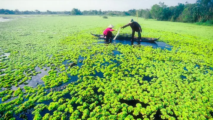 Tỉnh Miền Tây Nam Bộ