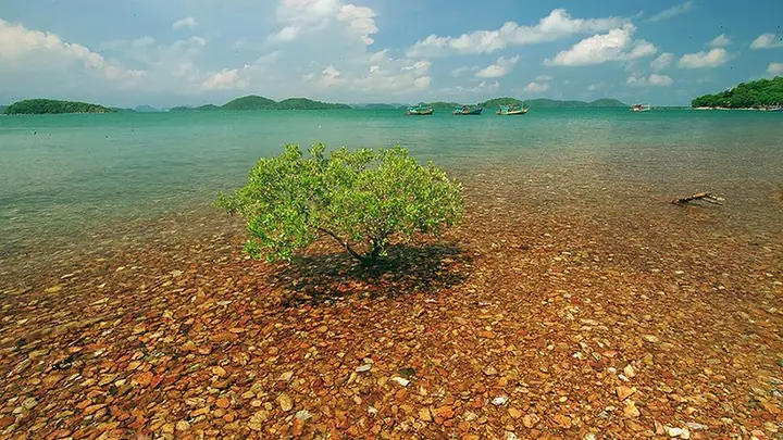 Tỉnh Miền Tây Nam Bộ