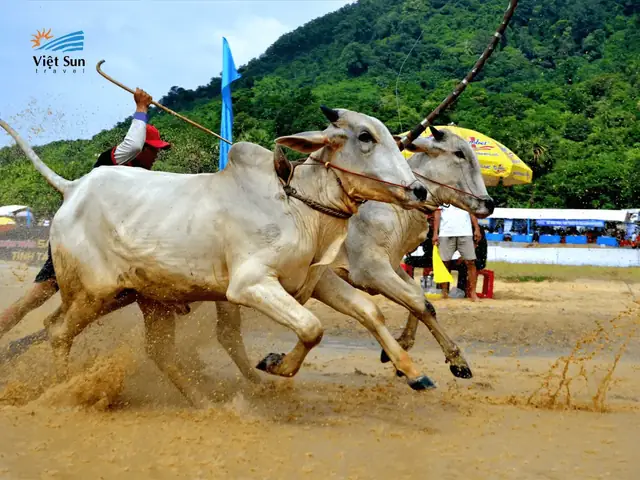 Du Lịch Miền Tây - Hành Trình Khám Phá Vùng Đất Phù Sa Tràn Đầy Sức Sống