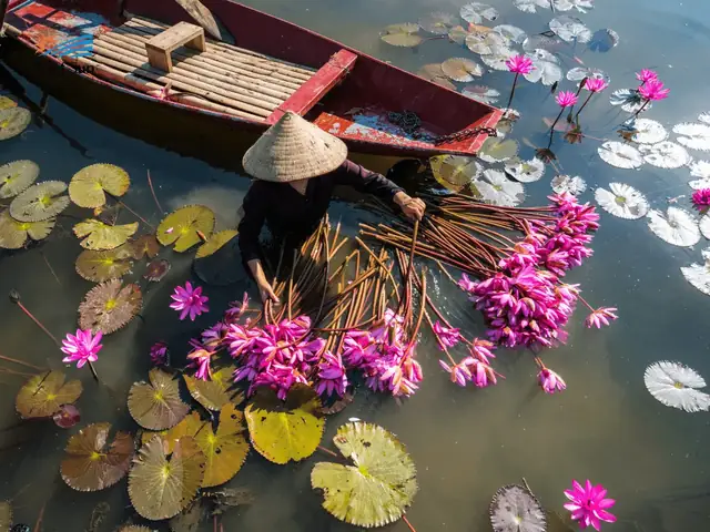Du Lịch Miền Tây - Hành Trình Khám Phá Vùng Đất Phù Sa Tràn Đầy Sức Sống