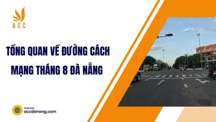 Đường Cách Mạng Tháng 8 Đà Nẵng Nằm Ở Đâu Và Mang Ý Nghĩa Gì? Đường Cách Mạng Tháng 8 Đà Nẵng Nằm Ở Đâu Và Mang Ý Nghĩa Gì?