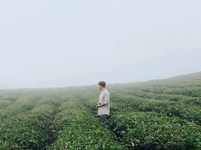 Một Số Lưu Ý Khi Đi Du Lịch Bụi Đà Lạt