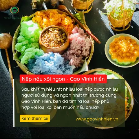 Nếp Nào Nấu Xôi Ngon Nhất? Nếp Nào Nấu Xôi Ngon Nhất?