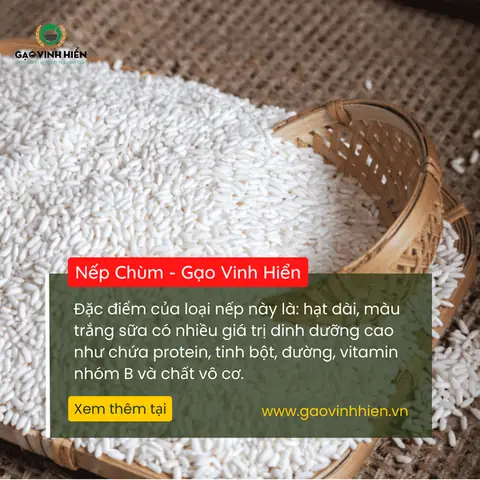 Nếp Chùm Nếp Chùm