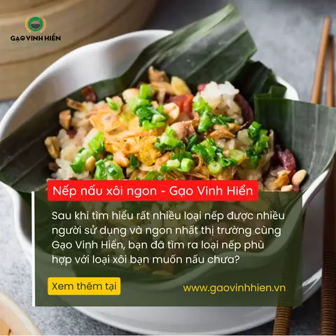 Nếp Nào Nấu Xôi Ngon Nhất? Nếp Nào Nấu Xôi Ngon Nhất?