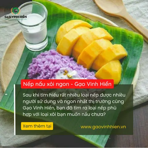 Nếp Nào Nấu Xôi Ngon Nhất? Nếp Nào Nấu Xôi Ngon Nhất?