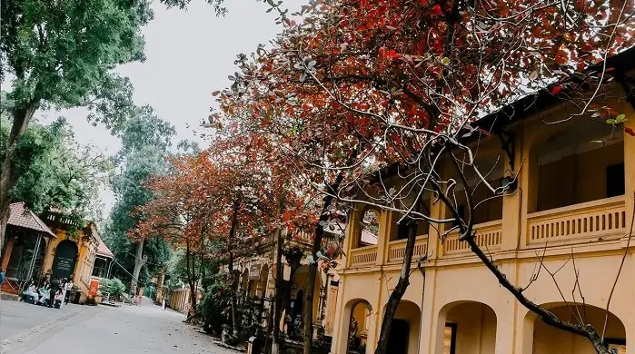36 Phố Phường Hà Nội: Nét Đẹp Lịch Sử Lưu Giữ Nghìn Năm