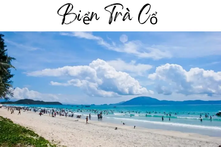 Biển Trà Cổ - Khám Phá Vùng Biển Tĩnh Lặng Tại Quảng Ninh Biển Trà Cổ - Khám Phá Vùng Biển Tĩnh Lặng Tại Quảng Ninh