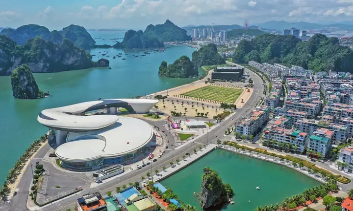 Quảng Trường 30/10, Cung Triển Lãm Cá Heo