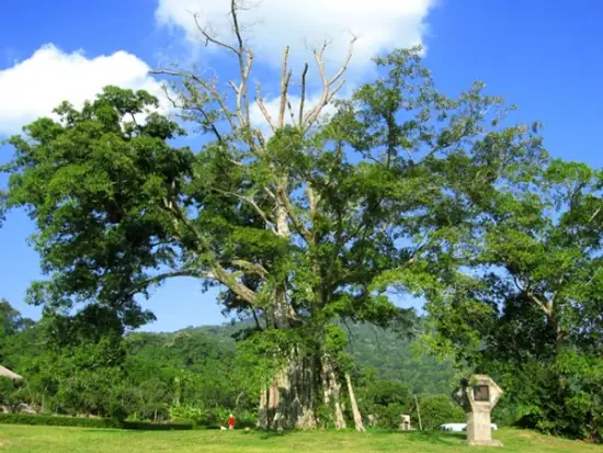 Thông Tin Giới Thiệu Về Khu Di Tích Lịch Sử Tân Trào Tuyên Quang
